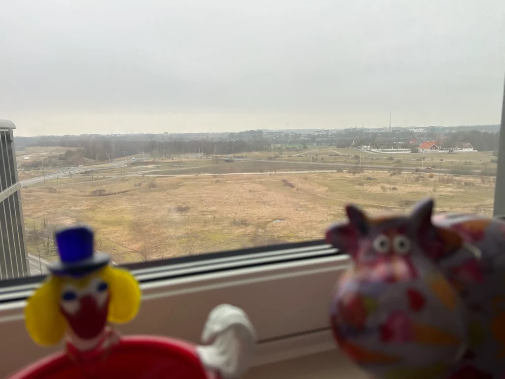 Dis över Malmö