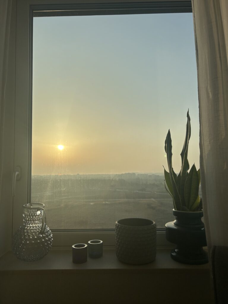 Eftermiddagssol över Malmö