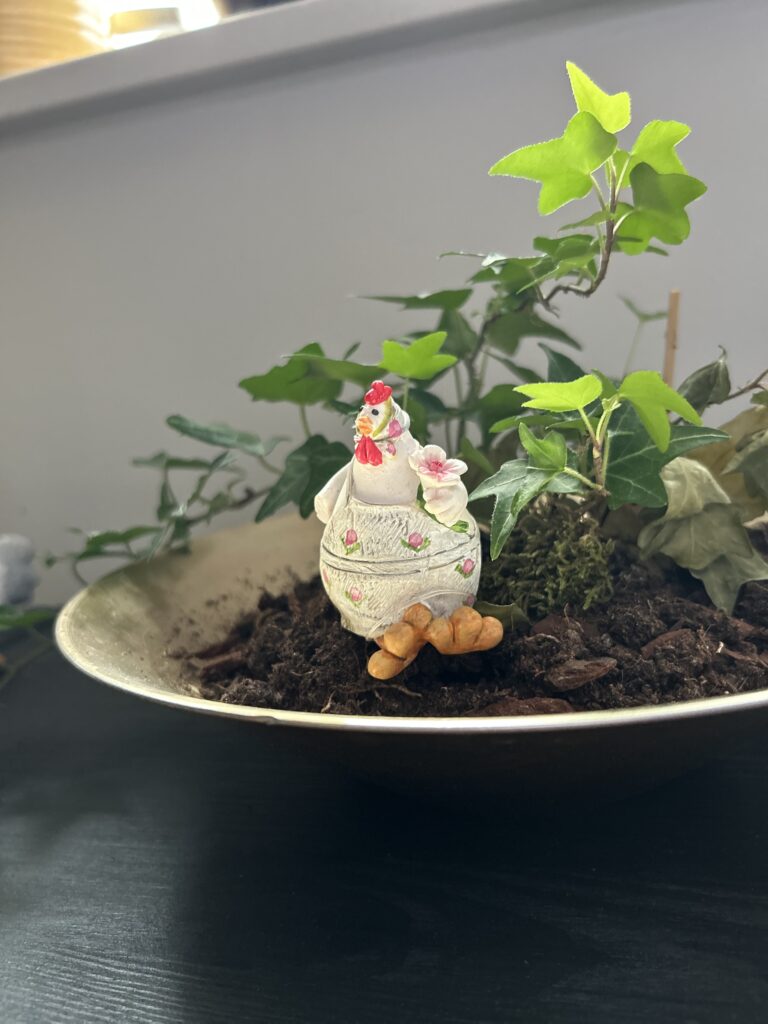 Höna Pöna är i Broby